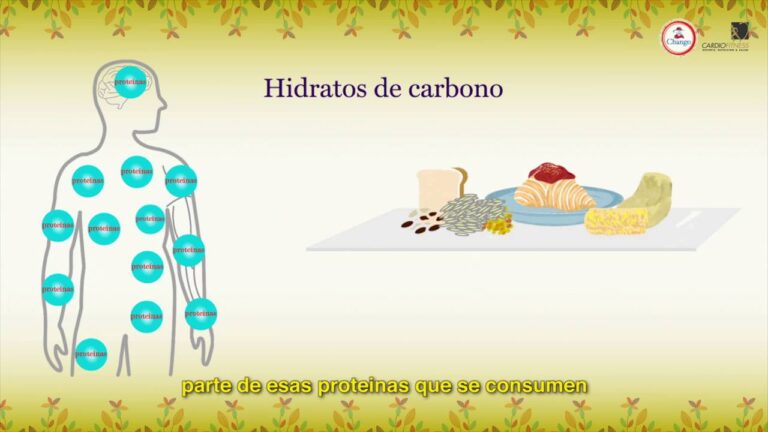 Todo lo que debes saber sobre el hidrato de carbono: beneficios y usos